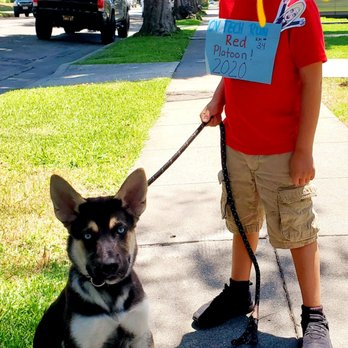 Follow the Leader K9 - My 6 year old can walk the dog with no problem. - Pet Training Near Me
