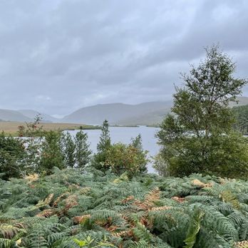 Glenveagh National Park - Everything in Ireland is so green. - Parks Near Me - Letterkenny, DL Glenveagh National Park - Everything in Ireland is so green. - Parks Near Me - Letterkenny, DL