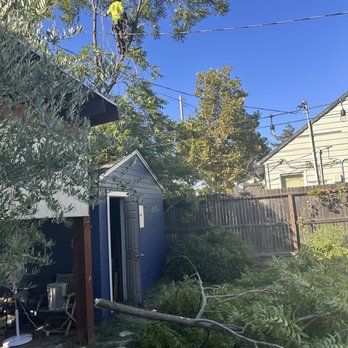 Valley Tree Solutions - Tree Services Near Me Valley Tree Solutions - Tree Services Near Me