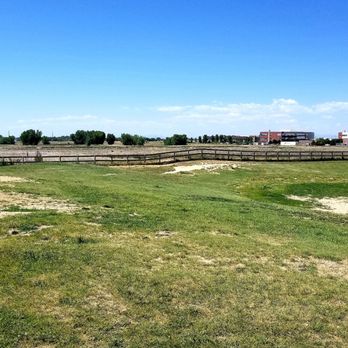Happy Tails Dog Park - Dog Parks Near Me - Brighton, Colorado Happy Tails Dog Park - Dog Parks Near Me - Brighton, Colorado