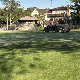 Where the green used to be Where the green used to be