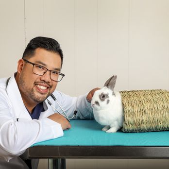 Mariposa Veterinary Hospital - Dr. Alan Poon has a special interest in the treatment of exotic small mammals, such as rabbits, guinea pigs, rats and ferrets! - Veterinarians Near Me - Orillia, Ontario Mariposa Veterinary Hospital - Dr. Alan Poon has a special interest in the treatment of exotic small mammals, such as rabbits, guinea pigs, rats and ferrets! - Veterinarians Near Me - Orillia, Ontario