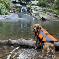 Ruff Hikers