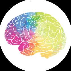 Body & Brain Energy Healing Center Manoa - Learn how to quiet your busy mind. Your focus and memory will improve as well as your sleep when you relax your brain. We teach you how.