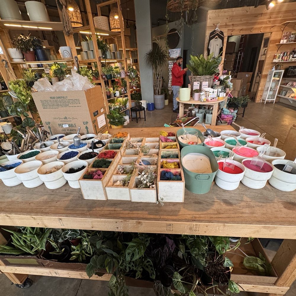 PlantHouse - DIY Table - Nurseries & Gardening Near Me - Charlotte, North Carolina PlantHouse - DIY Table - Nurseries & Gardening Near Me - Charlotte, North Carolina