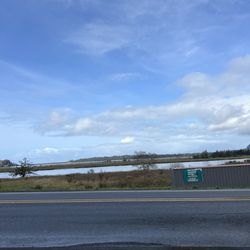 Handy Creek Bakery - The view