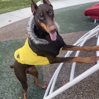 Off Leash K9 Training  - "Touch!" - Pet Training Near Me - Murrieta, California