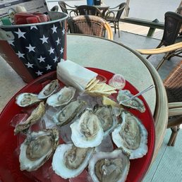 Oysters
