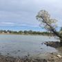 Photo of Kendrick Lake Park