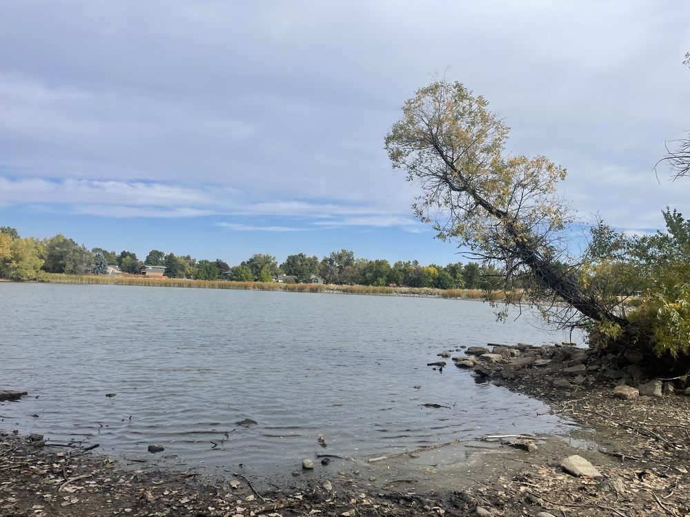 Kendrick Lake Park Image