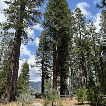 Pinecrest Lake - Pinecrest Lake- stunning - Lakes Near Me - Pinecrest, California