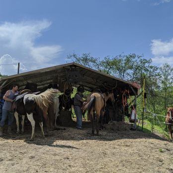 Horseshoe Creek Riding Stable - Horseback Riding Near Me
