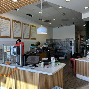 Plants and Juice Bar - Inside - Juice Bars & Smoothies Near Me - Rohnert Park, California Plants and Juice Bar - Inside - Juice Bars & Smoothies Near Me - Rohnert Park, California