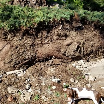 Rom Designs - a dog digging a hole in the ground - General Contractors Near Me Rom Designs - a dog digging a hole in the ground - General Contractors Near Me