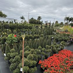 MGH Landscaping