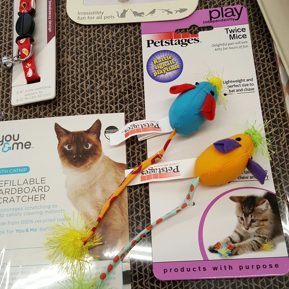 Petco - Stocking stuffers for a certain fuzzy. - Pet Stores Near Me - Riverside, California Petco - Stocking stuffers for a certain fuzzy. - Pet Stores Near Me - Riverside, California