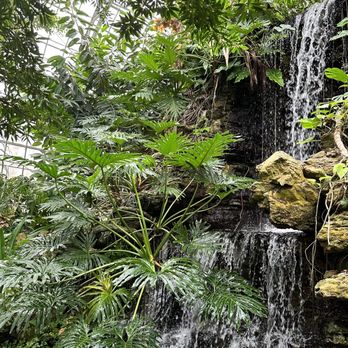 Krohn Conservatory - Botanical Gardens Near Me - Cincinnati, Ohio Krohn Conservatory - Botanical Gardens Near Me - Cincinnati, Ohio