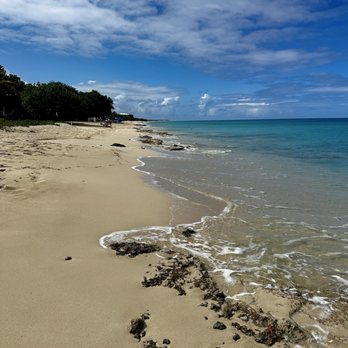 Sand Castle On The Beach - Beach - Hotels Near Me - Frederiksted, Virgin Islands Sand Castle On The Beach - Beach - Hotels Near Me - Frederiksted, Virgin Islands