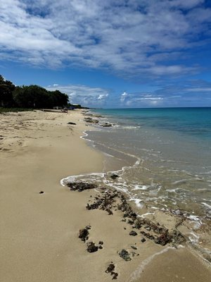 Sand Castle on the Beach by null