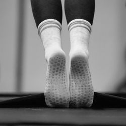 The Body Lab