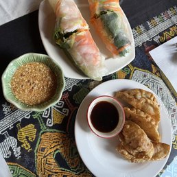Vietnamese Spring Roll Pot Stickers