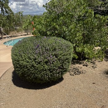 Friendly Professional Landscaping - Landscaping Near Me - Phoenix, Arizona