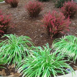 Maple Hill Elementary School - Fake plants are very fake