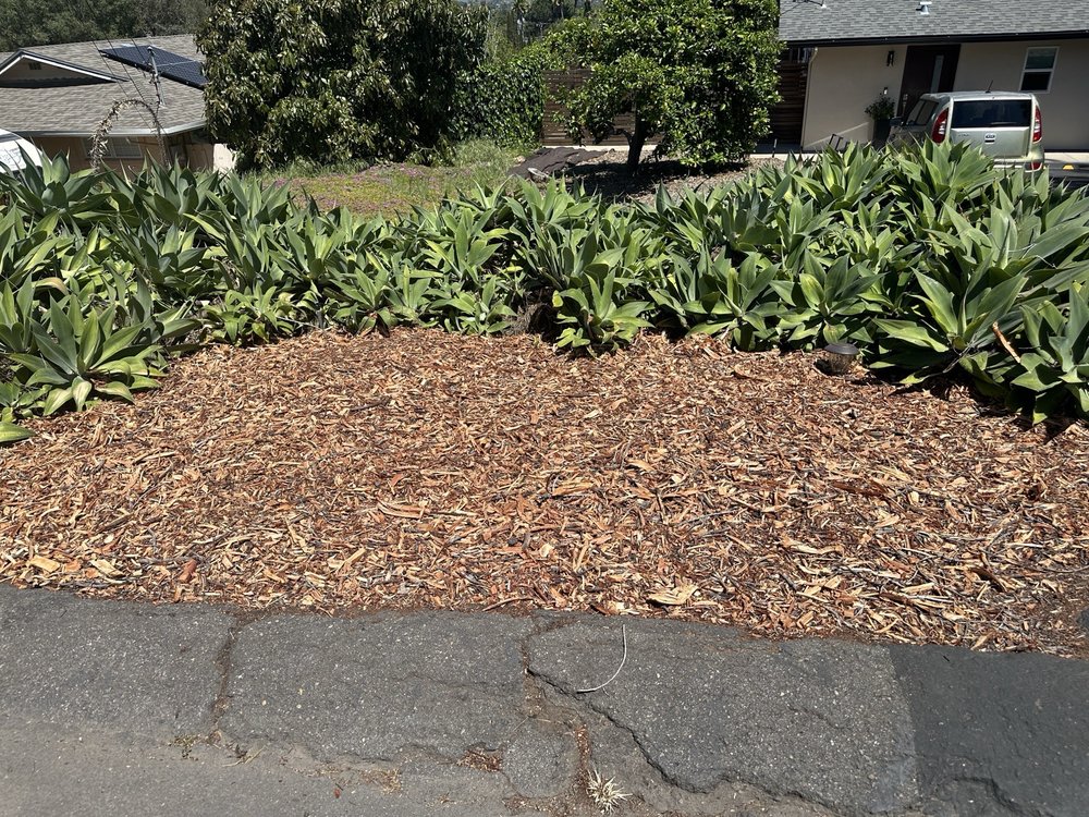 Alonzo's Tree Service - tree service in Escondido, CA