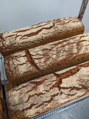 Laune Bread by null