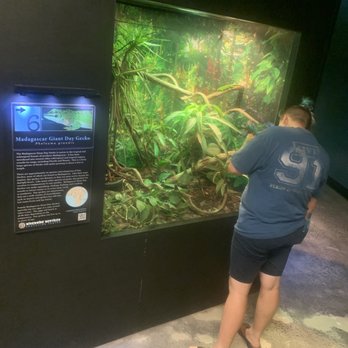 Riverside Reptiles Education Center - Xen checking out a cool well lit exhibit with nice signage - Zoos Near Me - Enfield, Connecticut Riverside Reptiles Education Center - Xen checking out a cool well lit exhibit with nice signage - Zoos Near Me - Enfield, Connecticut