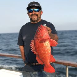 Pacific Dawn Sportfishing
