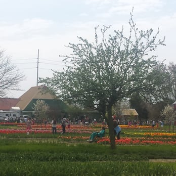 Veldheer's - Nurseries & Gardening Near Me - Holland, Michigan