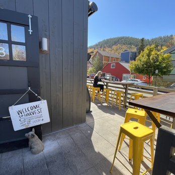 Harvest - Breakfast & Brunch Near Me - Park City, Utah Harvest - Breakfast & Brunch Near Me - Park City, Utah