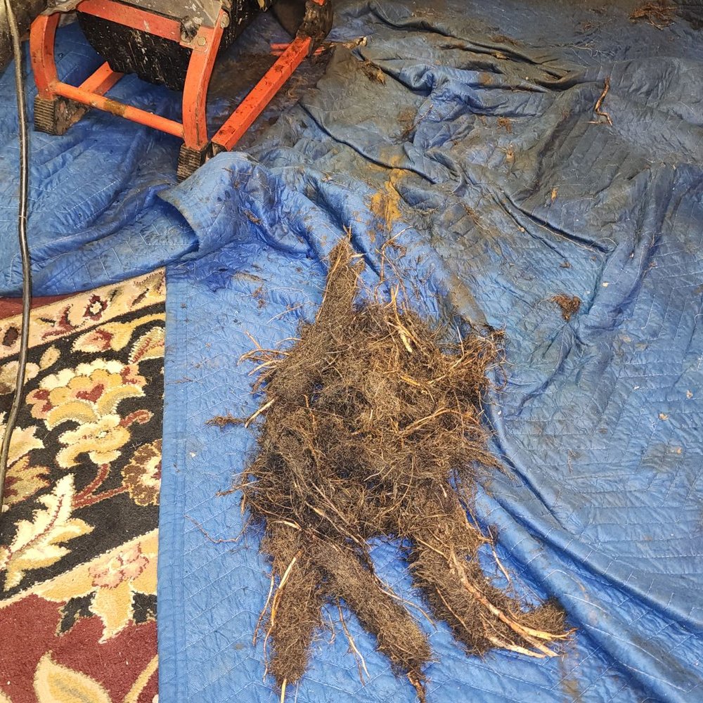Econo Sewer & Drain - This is what was pulled from my sewer drain after Econo sewer said my line was free and clear. Clearly a lie - Plumbing Near Me - Racine, Wisconsin Econo Sewer & Drain - This is what was pulled from my sewer drain after Econo sewer said my line was free and clear. Clearly a lie - Plumbing Near Me - Racine, Wisconsin