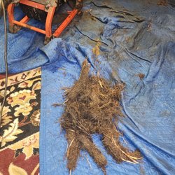 Econo Sewer & Drain - This is what was pulled from my sewer drain after Econo sewer said my line was free and clear. Clearly a lie