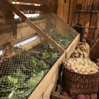 Ark Encounter - Growing produce inside the ark. - Museums Near Me - Williamstown, Kentucky
