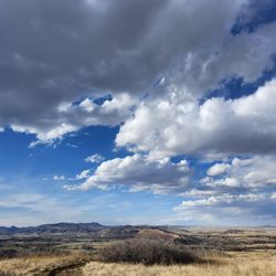 Reservoir Ridge Natural Area