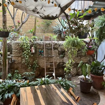 El Empedrado - Coffee & Tea Near Me - Oaxaca, OAX El Empedrado - Coffee & Tea Near Me - Oaxaca, OAX