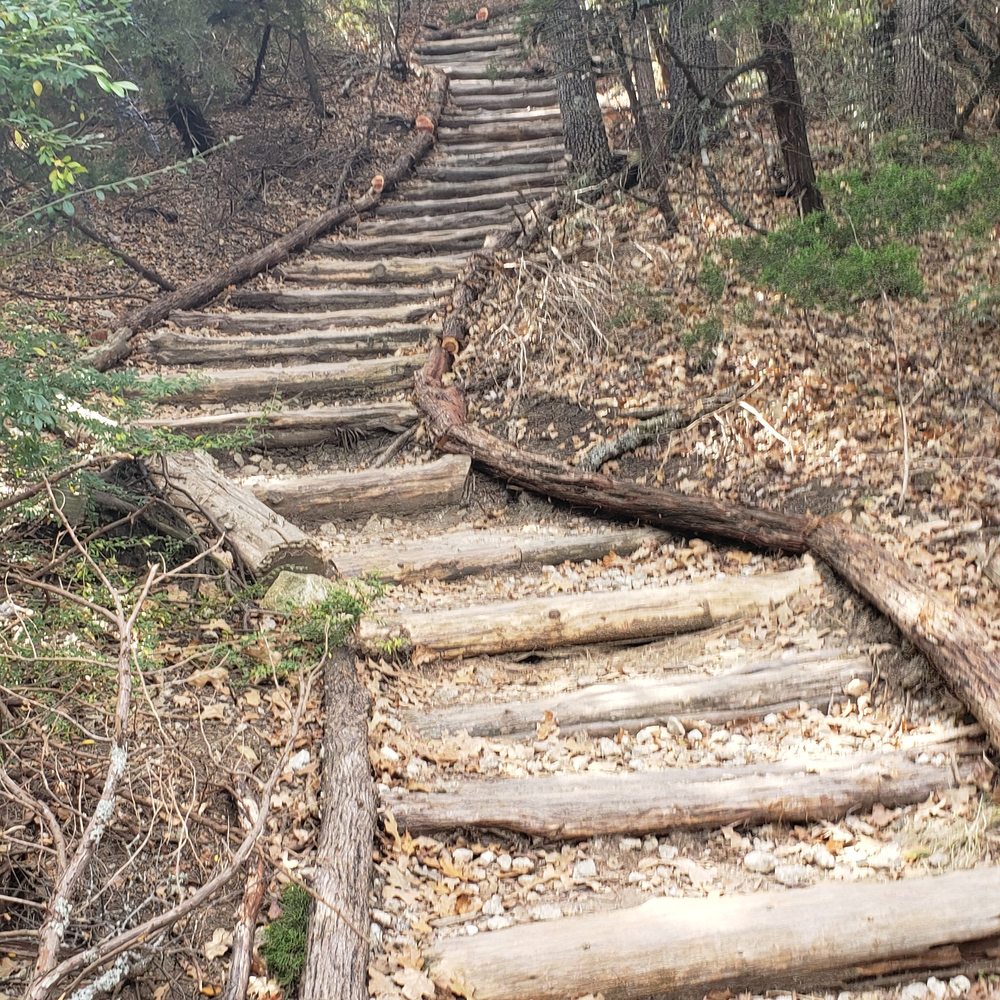 Cedar Ridge Preserve - Hiking Near Me - Dallas, Texas Cedar Ridge Preserve - Hiking Near Me - Dallas, Texas