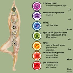 Chakra Boutique - Chakra Chart
