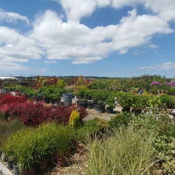 Orchard's Nursery - Nurseries & Gardening Near Me - Stanwood, Washington
