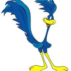 Essential Home Maintenance Checklist: Keep Your Home in Top Condition