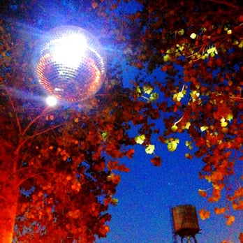 Gowanus Grove - Disco ball in the trees - Festivals Near Me - Brooklyn, New York