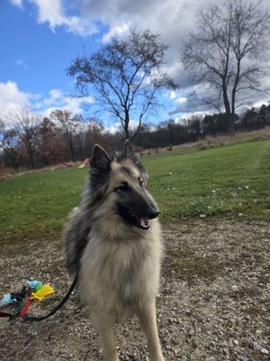 Aukerman Park by null