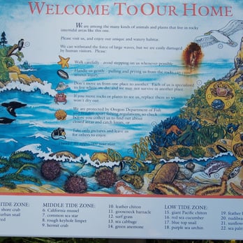 Ecola State Park - Sea life chart posted at Ecola State Park - Parks Near Me - Cannon Beach, Oregon Ecola State Park - Sea life chart posted at Ecola State Park - Parks Near Me - Cannon Beach, Oregon