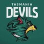 Photo of Tasmanian Devils FC
