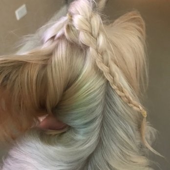 Groomies - Could not do a die job so i decided to do a braid - Pet Groomers Near Me - Chicago, Illinois Groomies - Could not do a die job so i decided to do a braid - Pet Groomers Near Me - Chicago, Illinois