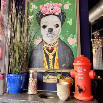 Kiki's Coffee & Spirits - Sooo darn cute! - Coffee & Tea Near Me - San Antonio, Texas Kiki's Coffee & Spirits - Sooo darn cute! - Coffee & Tea Near Me - San Antonio, Texas