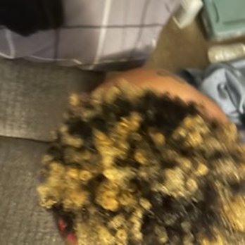 Astonishing Hands - Hair Stylists Near Me Astonishing Hands - Hair Stylists Near Me