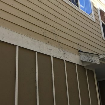 Painters in White - Before - Painters Near Me Painters in White - Before - Painters Near Me